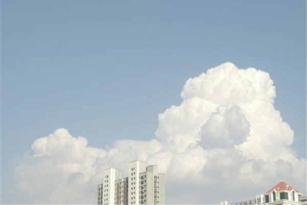 ����ϳ���6������콫��զ���� ��֤��������pͼ