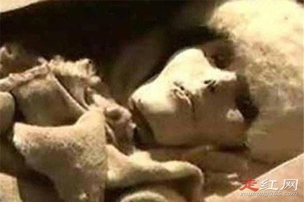 ¥��Ůʬ��ò��ԭͼ �������Ϊʲô������