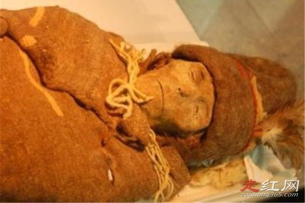 ¥��Ůʬ��ò��ԭͼ �������Ϊʲô������