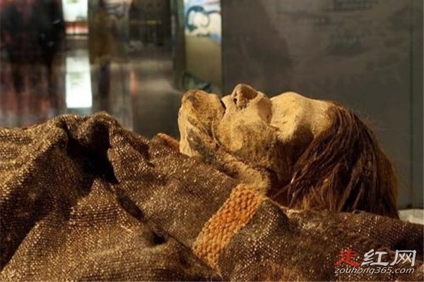 ¥��Ůʬ��ò��ԭͼ �������Ϊʲô������