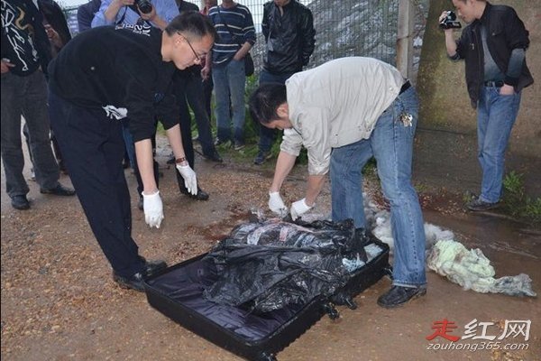 �ϲ�4.8��ʬ����ô���� �������ʬ��ʱ���ֵ�