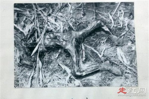 ������ԩ����������˭ һ�����׵�����ʲôԭ��