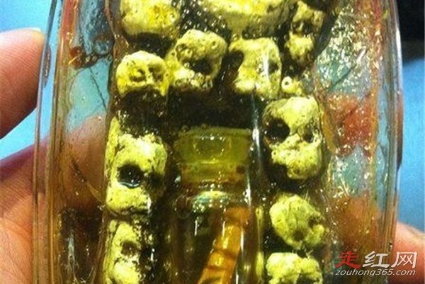 ��ͷʦ��Ĵ����� ����һ�����׵Ĺ���