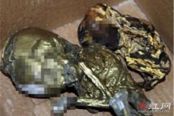 ��С������ʵ�¼��� �����������ѵ���ʵ����