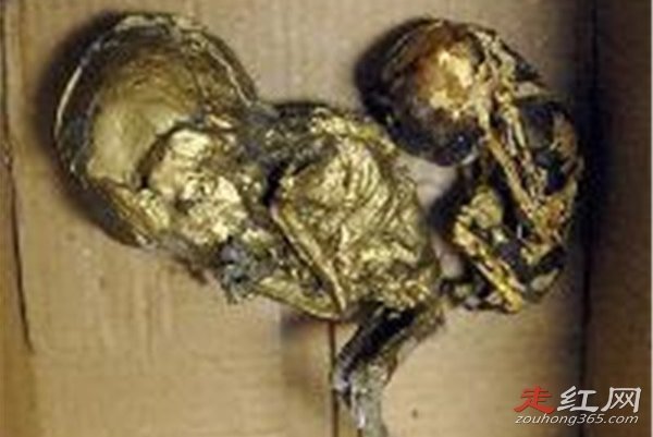 ��С������ʵ�¼��� �����������ѵ���ʵ����