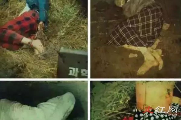 ����������ɱ���¼���ô�Ƶ� �����Ѿ��Ǳ����ù鰸