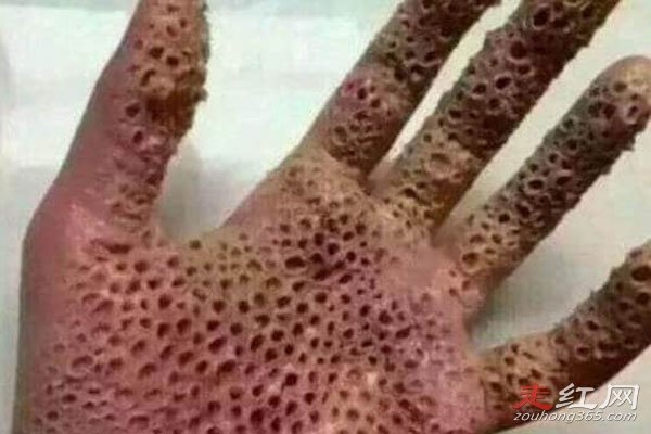 �����к�����ʵ�¼��� ����ʮ�����е�һ���������