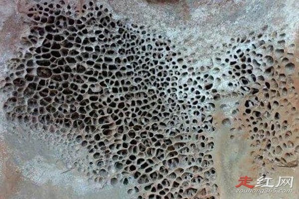 �����к�����ʵ�¼��� ����ʮ�����е�һ���������