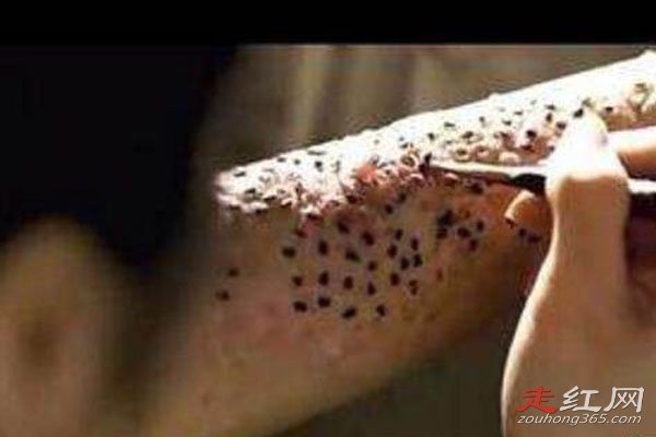 ֥��Ů����ԭͼ�ֲ�ͼƬ ֥���Ѿ���Ƕ��Ů������