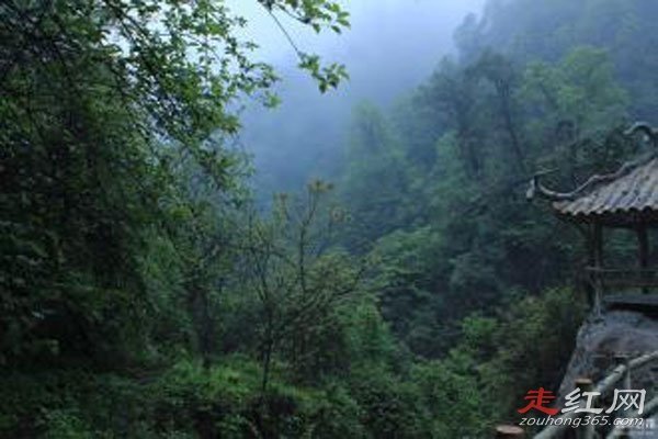�Ĵ����������¼������ ����ֻ��һ�������������