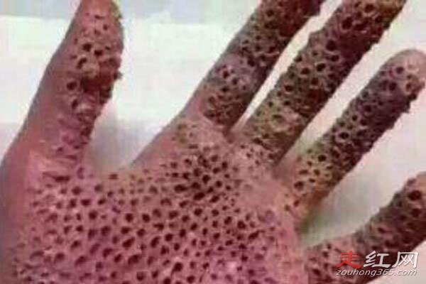 �����к�ͼƬ����ԭͼ���Ӱ� ����֥��Ů���Ĺ���