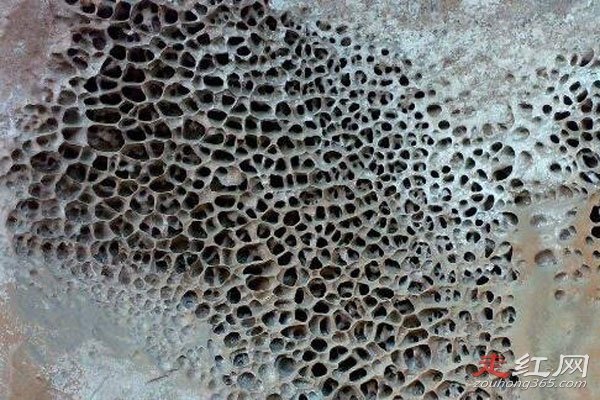 �����к�ͼƬ����ԭͼ���Ӱ� ����֥��Ů���Ĺ���