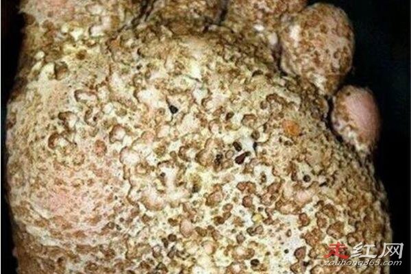 �����к�ͼƬ����ԭͼ���Ӱ� ����֥��Ů���Ĺ���