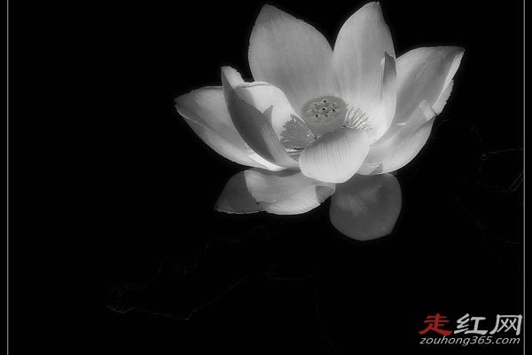 ͷ�����֤�������� Ҫ�ܻ�ʲô��