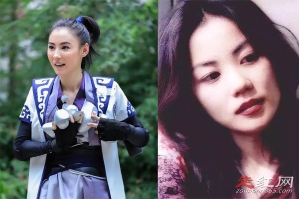 �Ű�֥����л����ʲô��ϵ ���ӵ��������ײ���л���棿