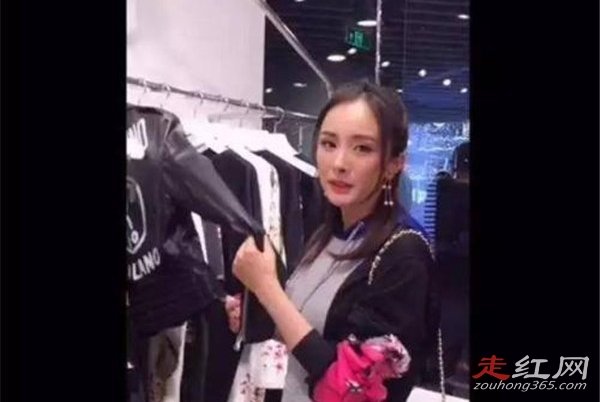 ���ݻ��ж�̥�������� �����������Ǳ��������