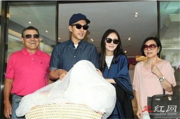 ���ݻ��ж�̥�������� �����������Ǳ��������