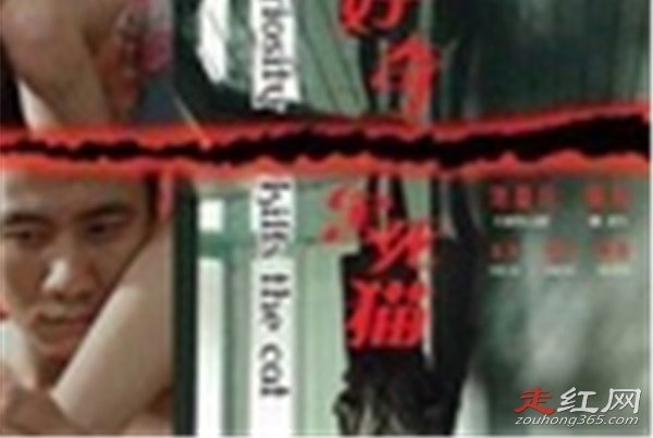 �����ĺ���è�ĵ������ô���� ������������������