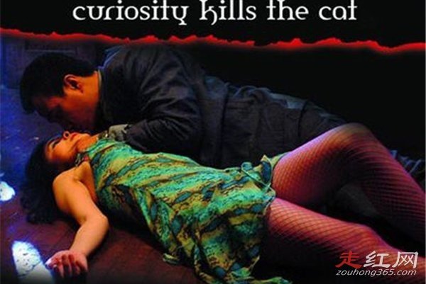 �����ĺ���è�ĵ������ô���� ������������������