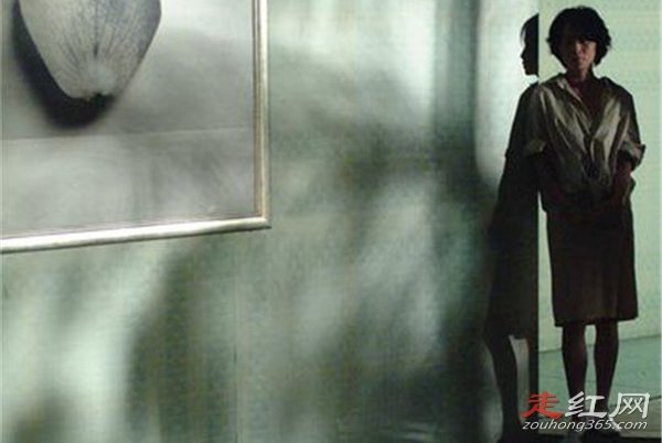 �����ĺ���è�ĵ������ô���� ������������������