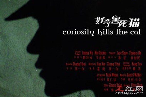 �����ĺ���è�ĵ������ô���� ������������������