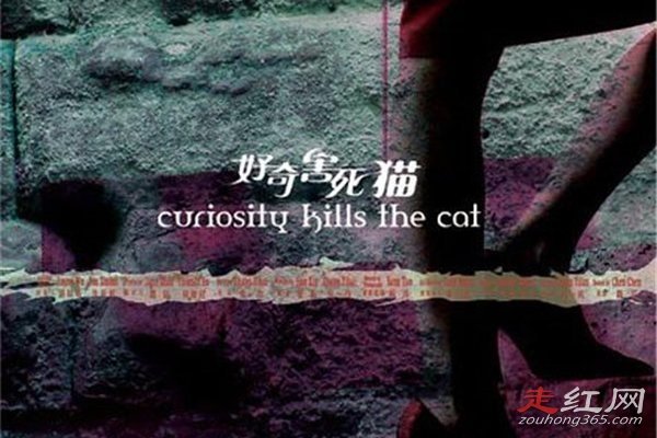 �����ĺ���è�ĵ������ô���� ������������������