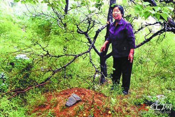 ����׷���� �참�˵��³��Ƿ��������Ա