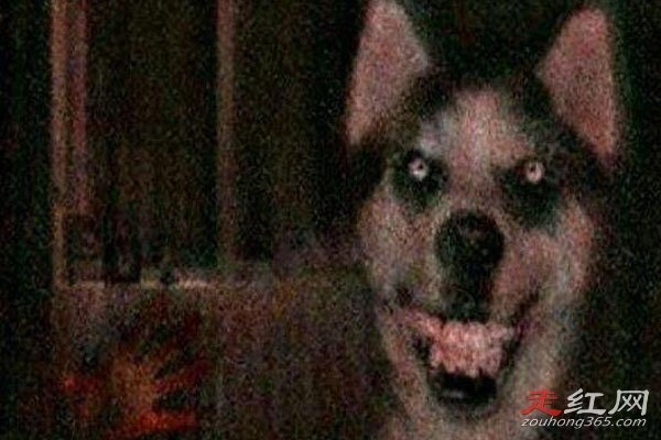 ΢Ц��ԭͼ�ֲ��¼���ô���� ��������һ���ֲ��Ĺ���