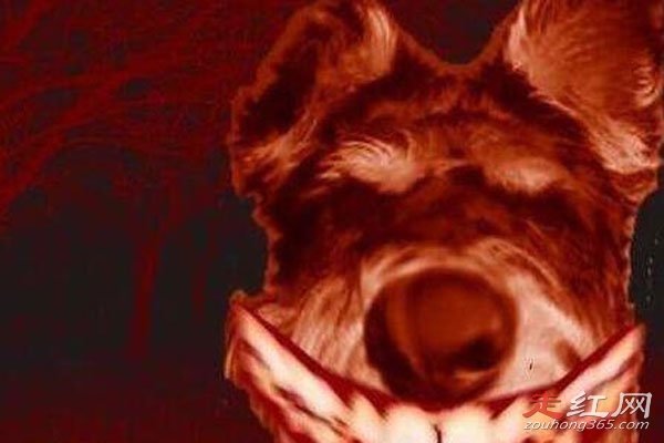 ΢Ц��ԭͼ�ֲ��¼���ô���� ��������һ���ֲ��Ĺ���