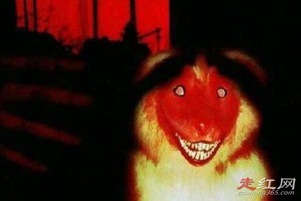 ΢Ц��ԭͼ�ֲ��¼���ô���� ��������һ���ֲ��Ĺ���