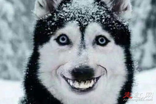 ΢Ц��ԭͼ�ֲ��¼���ô���� ��������һ���ֲ��Ĺ���