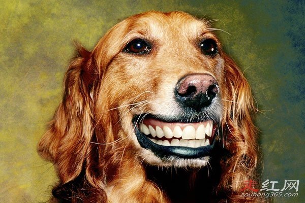 ΢Ц��ԭͼ�ֲ��¼���ô���� ��������һ���ֲ��Ĺ���