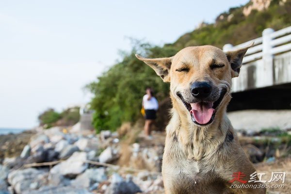 ΢Ц��ԭͼ�ֲ��¼���ô���� ��������һ���ֲ��Ĺ���