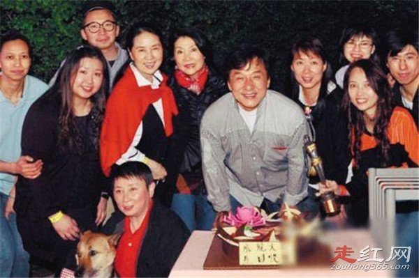 林凤娇成龙怎么认识的 成龙对林凤娇不爱为什么要结婚