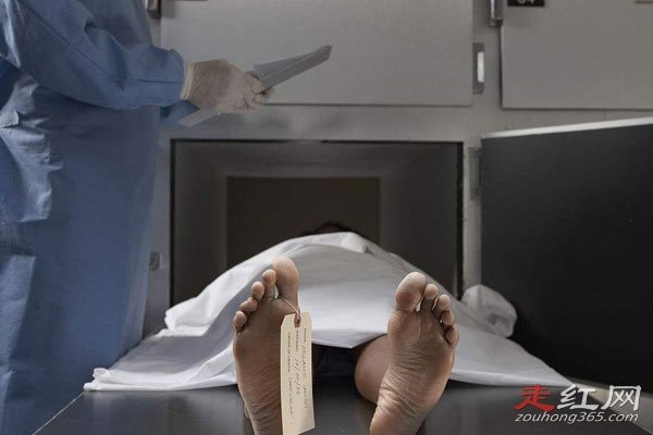 ����ΪʲôҪ�������Ҳ����ƿ� ��̽ʬ���Ƿ��Ѿ���͸