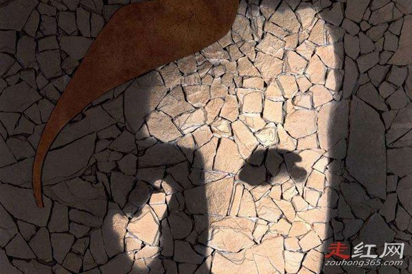 ����ΪʲôҪ�������Ҳ����ƿ� ��̽ʬ���Ƿ��Ѿ���͸