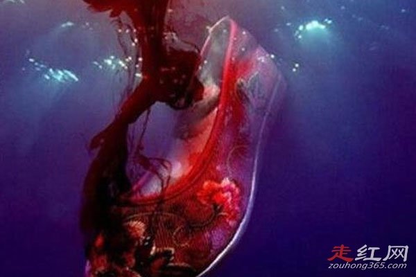 ����ԭ�������˶����� ��ʵ������ֲ���