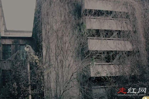 �������¥14��Ĺײ���ô���� �����˱Ƚ϶������