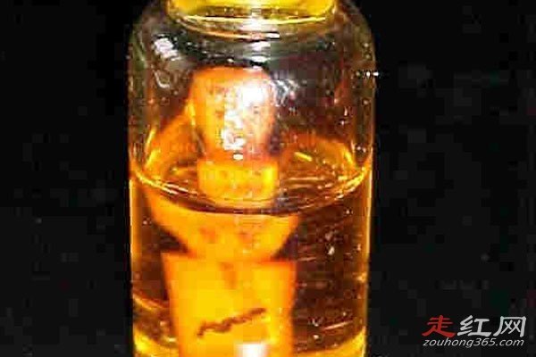 ̩���ķ��Ϊʲô���� �����˼���Ƿ������Ĺ�����