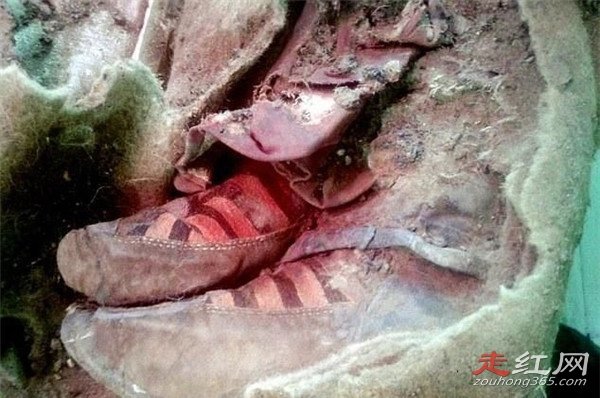 ���������˵����� ����Ϊ��ı��˶�����