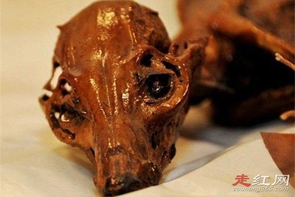 ���������˵����� ����Ϊ��ı��˶�����