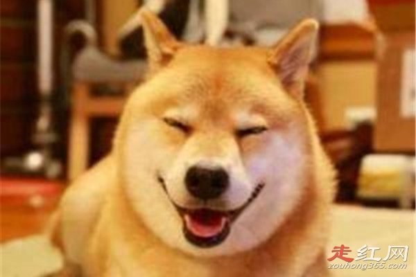 ΢Ц���¼�ԭͼ̫���� һ����Ƭ�������������
