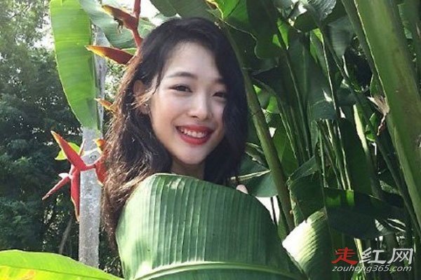 ���Ӵ�ѩ�����ԭ�� �����������߸��º����