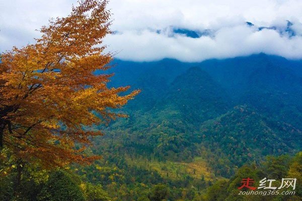 �Ĵ�����δ��֮����ļٵ� ����֮������Щ
