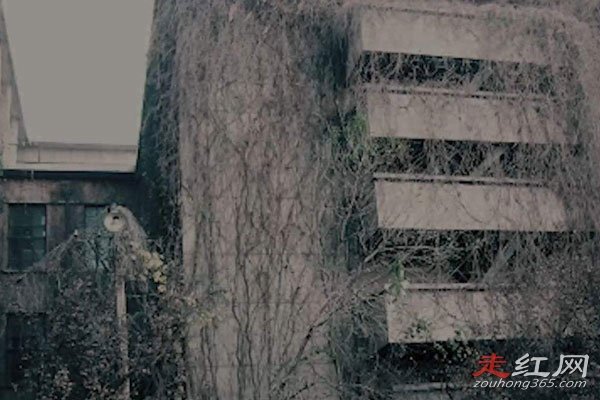 ������¥��������ס�� �¼�������ô���½���