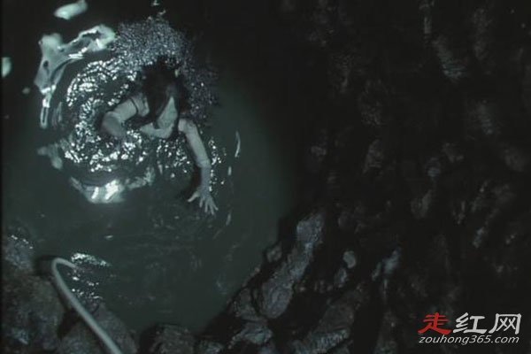 ��ֲ��Ĺ�Ƭ����ǰʮ ��㤺Ϳֲ�Ч���൱������ӰƬ