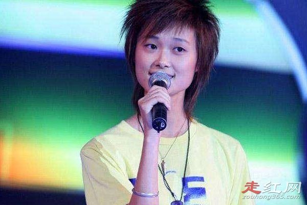 ����ǲ���les ˫��Ƥ��������