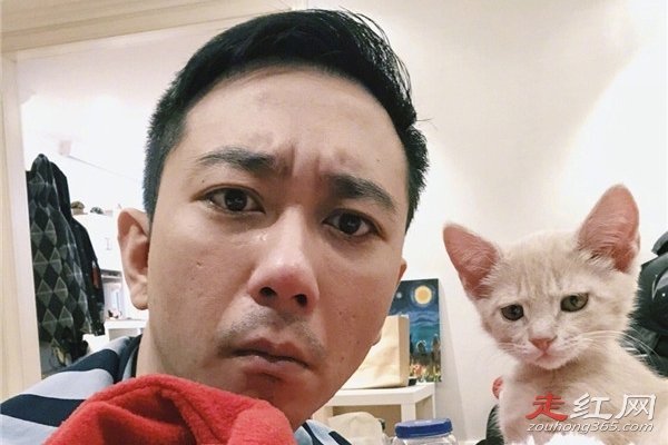 ���Խ���ôͻȻ��ʧ�� �����ڸ���