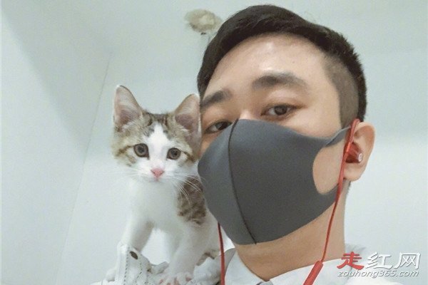 ���Խ���ôͻȻ��ʧ�� �����ڸ���