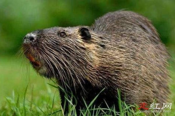 ����������30���������Ƶ������� 853ũ���ڷ��ֵ�